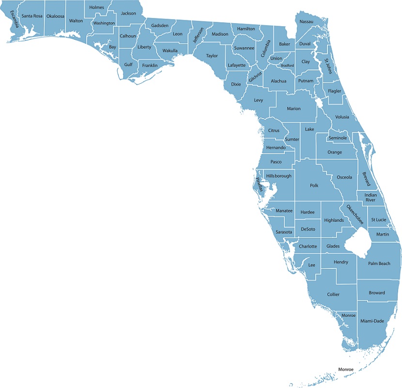 Florida Mmt Searchnet Property Data Information